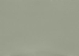Posidonia Green by Silestone full slab